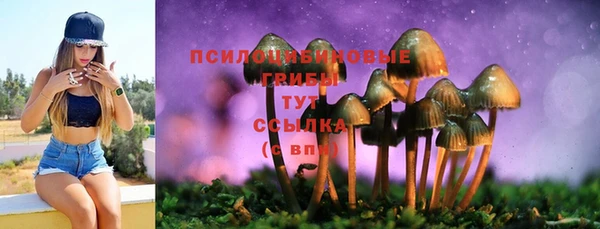 бошки Баксан
