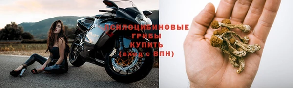 бошки Баксан